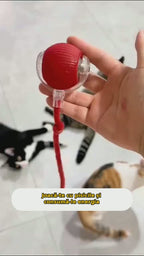 PurrBall în acțiune: o pisică se joacă cu mingea interactivă roșie care se rotește singură
