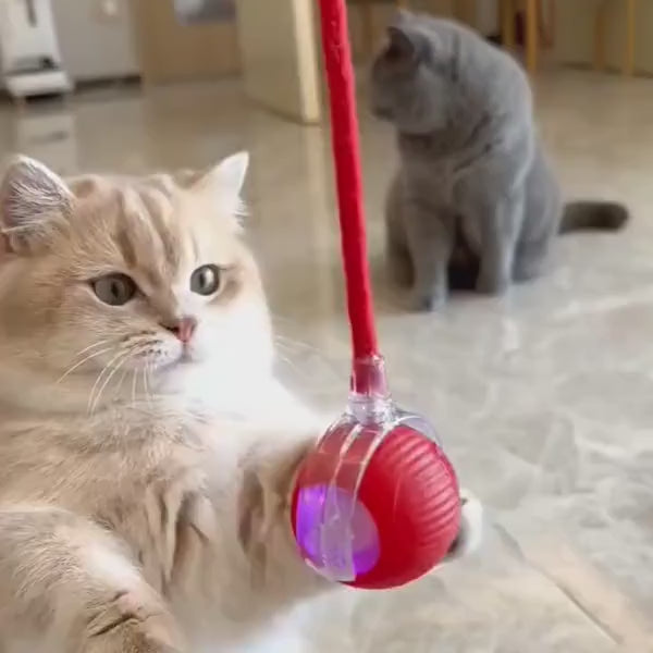 PurrBall silențioasă pe parchet, gresie și covor