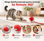 PurrBall, minge interactivă roșie care se rotește 360°, în timpul jocului cu o pisică