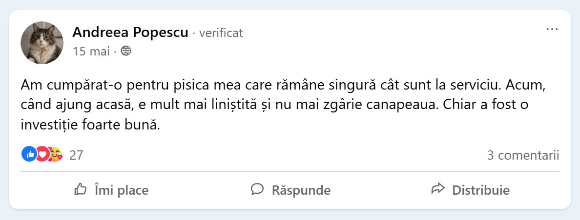 Recenzie Facebook de la Andreea Popescu despre PurrBall
