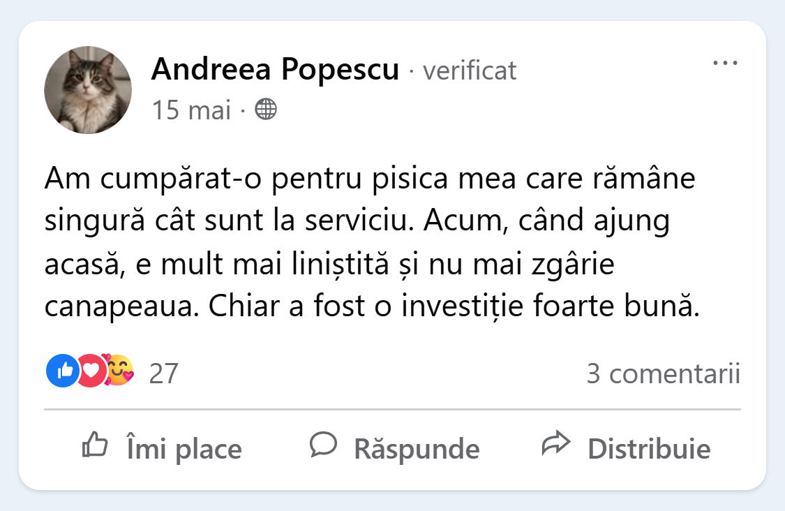 Recenzie Facebook de la Andreea Popescu despre PurrBall