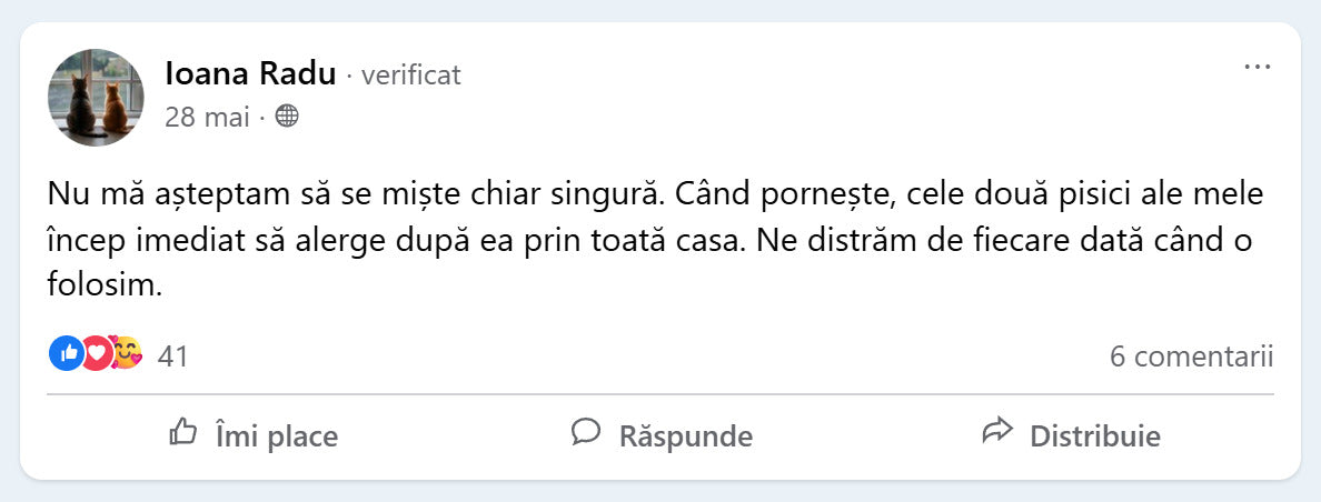 Recenzie Facebook de la Ioana Radu despre PurrBall