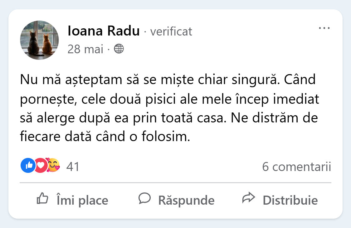 Recenzie Facebook de la Ioana Radu despre PurrBall
