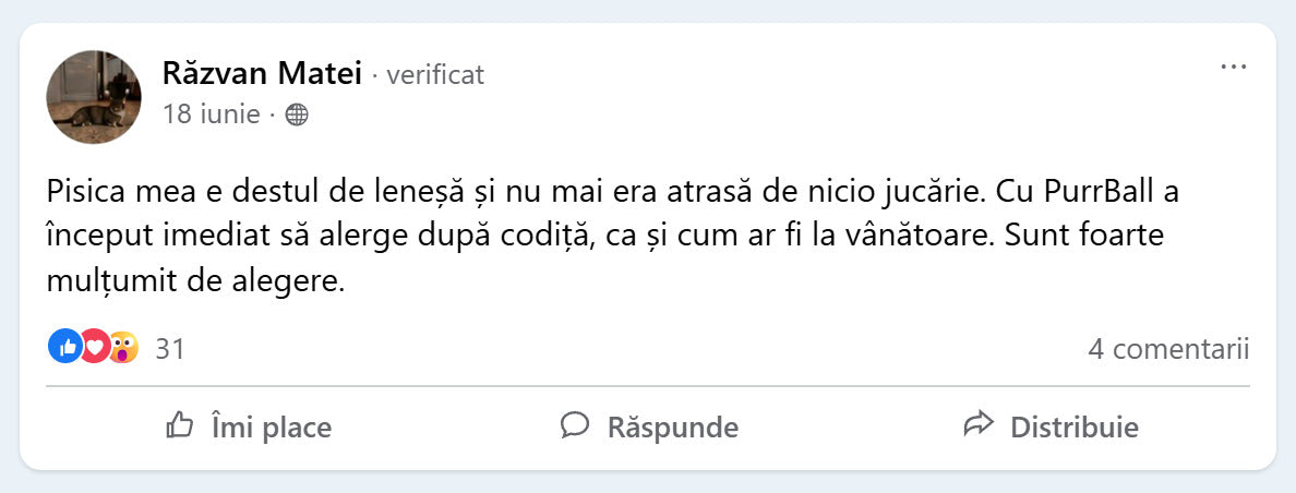 Recenzie Facebook de la Razvan Matei despre PurrBall