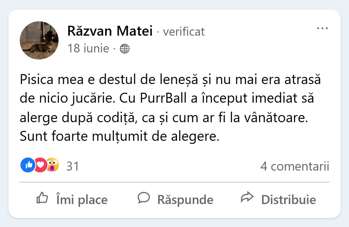 Recenzie Facebook de la Razvan Matei despre PurrBall
